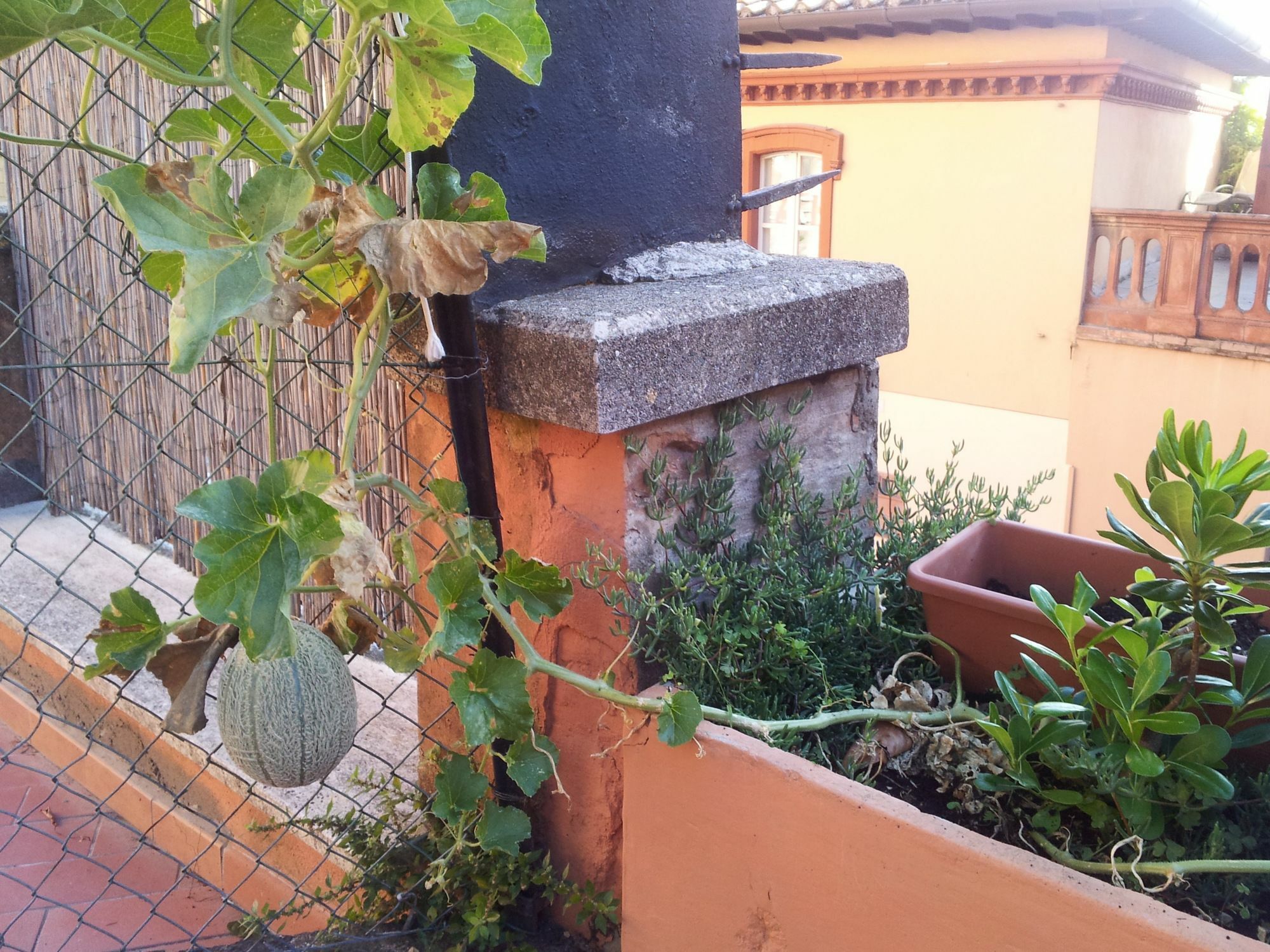 Al Giardino Di Alice Bed & Breakfast Perugia Dış mekan fotoğraf